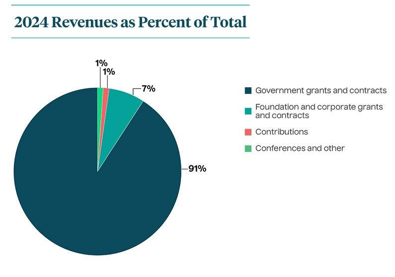 Fiscal Year 2024 Revenues pie chart