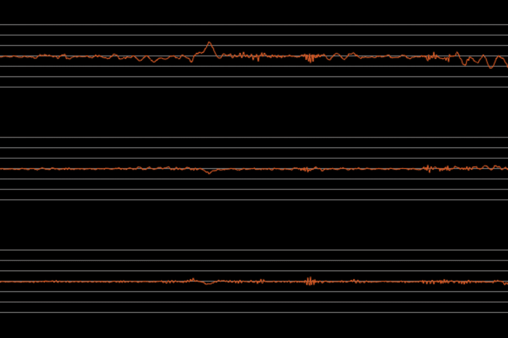 lines on a seismograph showing little movement