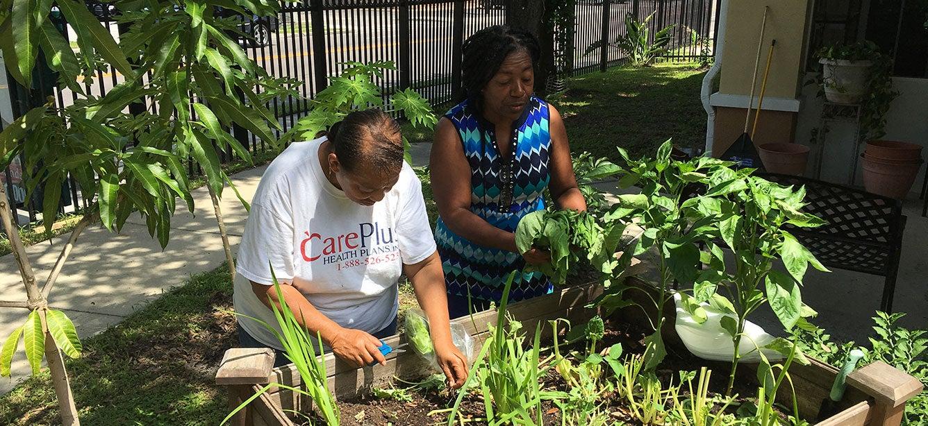 Hillsborough County's 7 senior centers are helping test the effectiveness of a mental wellness program that links peer coaches with older adults for support.