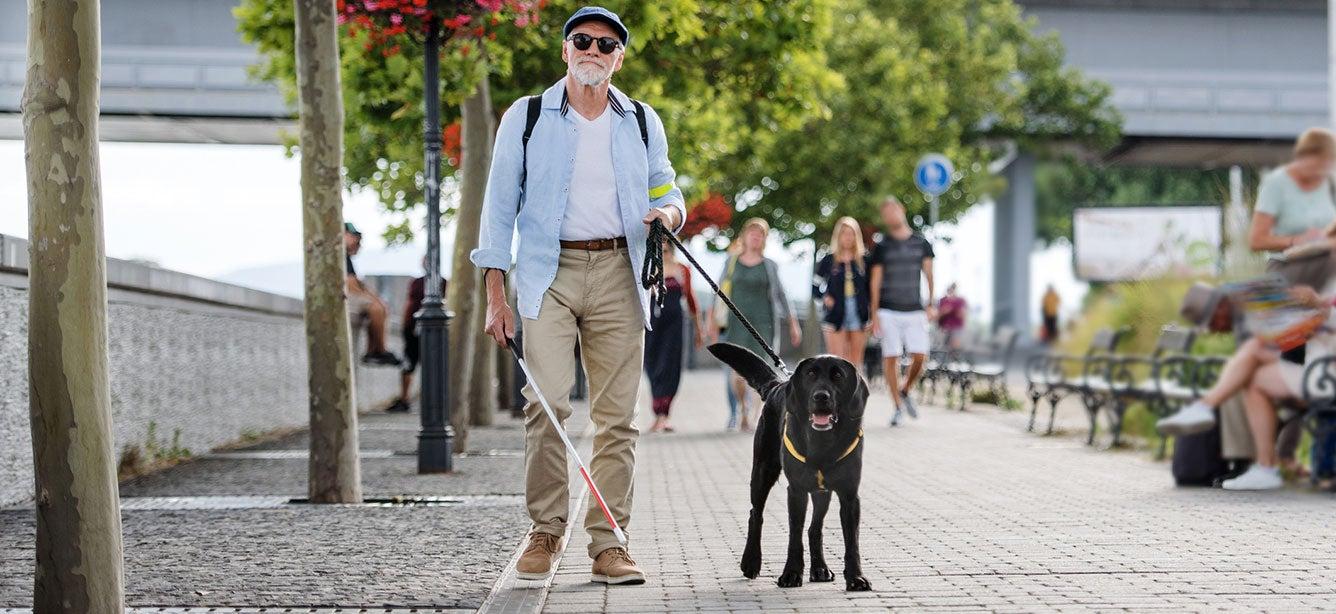 Orientation and Mobility training is a type of vision rehabilitation that can help improve quality of life and increase independence. Here's what to know.