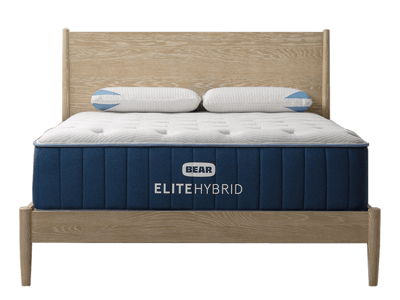 The Bear Elite Hybrid mattress