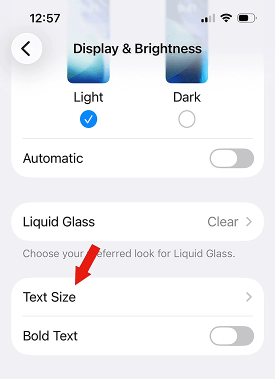 Text Size