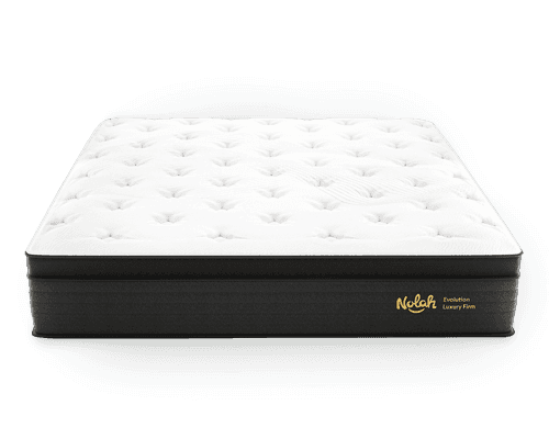 Nolah Evolution mattress
