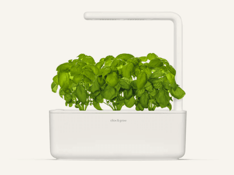 A sleek white smart garden kit with lush green basil plants under an LED light