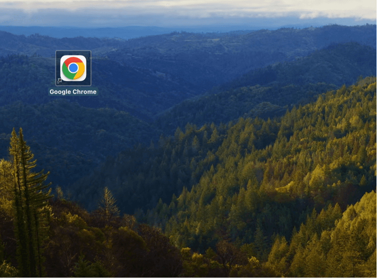 How Do You Use Web Browsers?