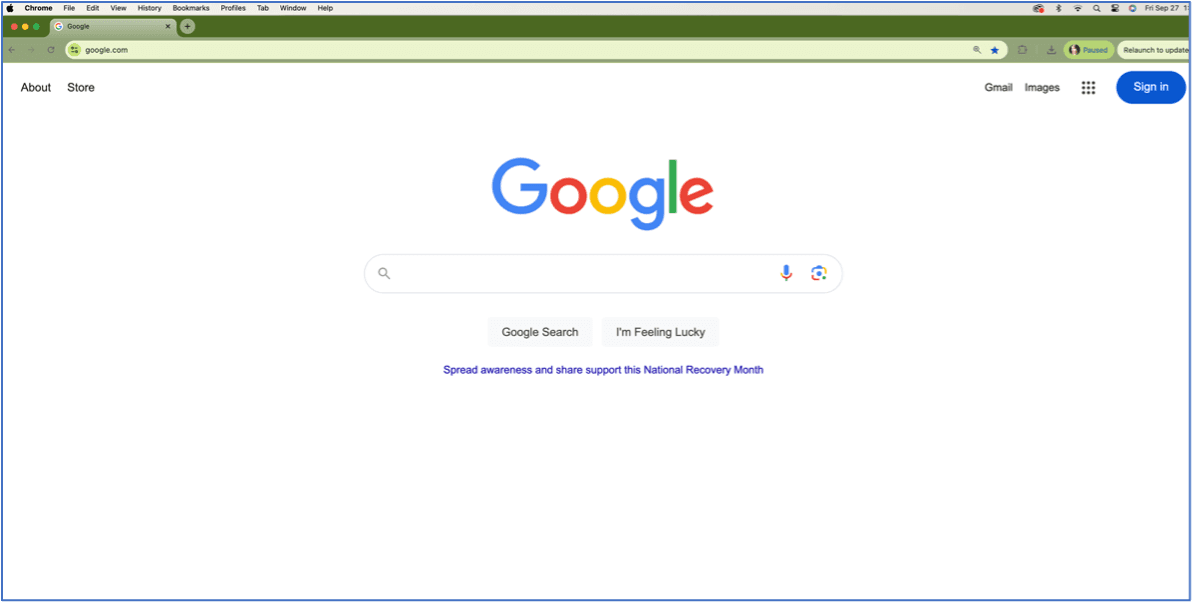 How Do You Use Web Browsers?
