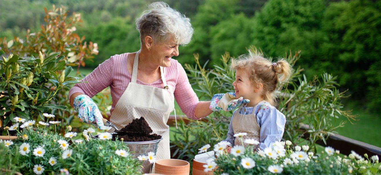 What was the Aging Mastery Program®?
