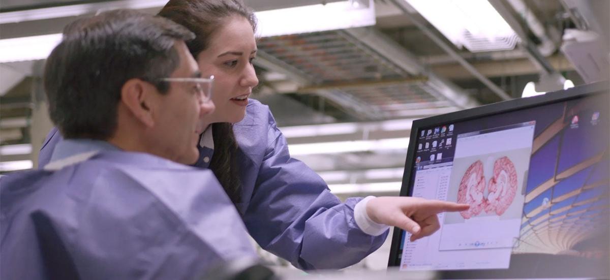 What Memory Changes Should I Expect as I Age?