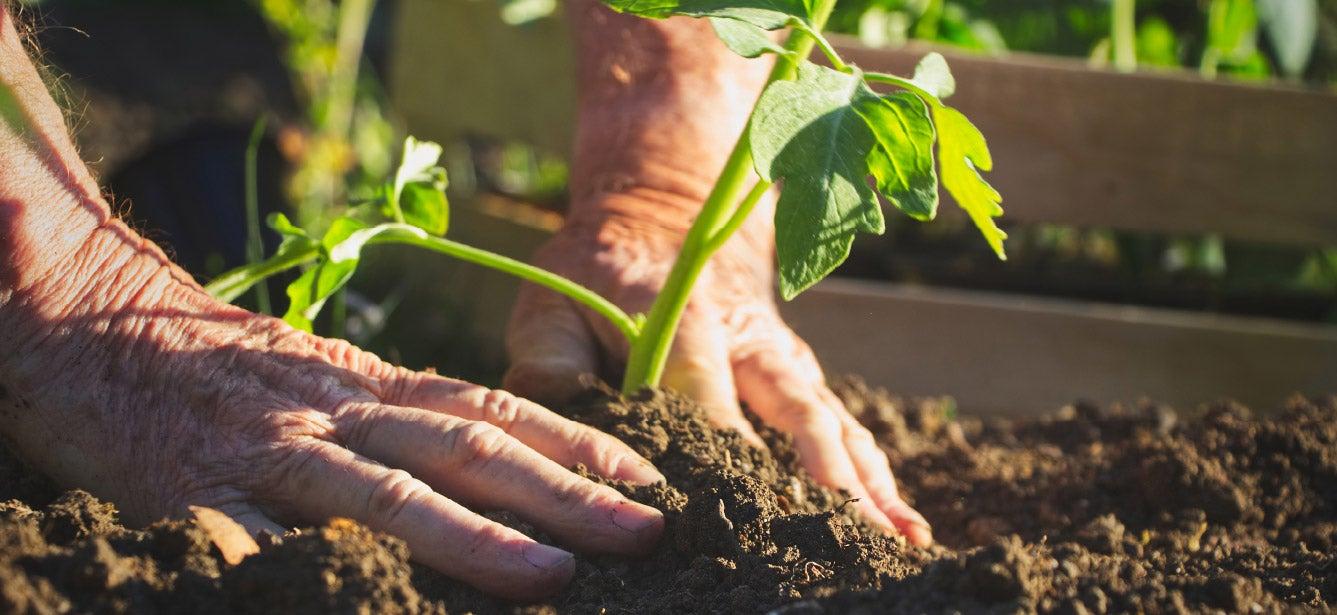 “Do More Feel Better” is based on an evidence-based treatment for depression and is showing promise in helping senior center participants improve their mental health.