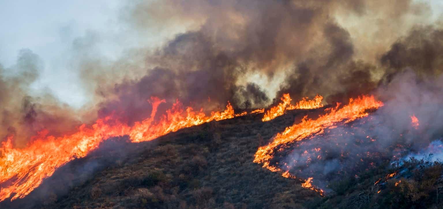 September is National Preparedness Month and a perfect time to revisit your own preparedness and post-disaster plans.